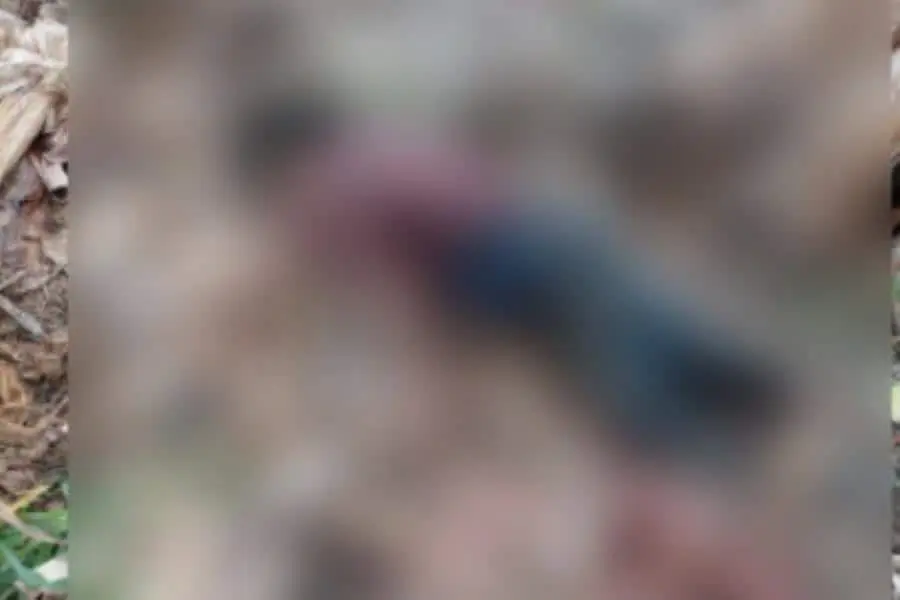 Lo encuentran sin vida y con signos de violencia en zona platanera de Teapa