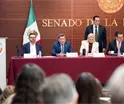 Designan al tabasque&ntilde;o &Oacute;scar Cant&oacute;n como vicecoordinador de Morena en el Senado